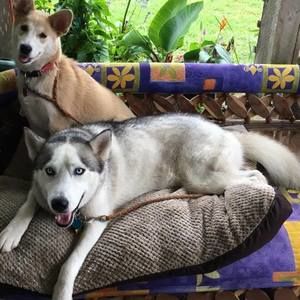 Meet your Posher, Young